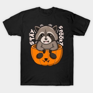 Stay Spooky Raccoon T-Shirt